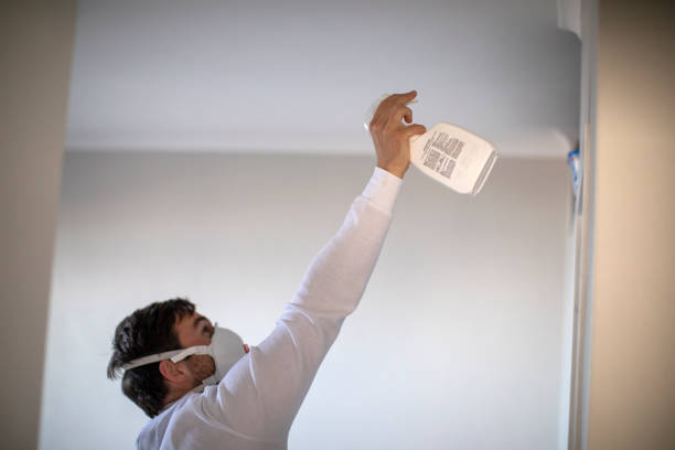 Home Mold Removal in West, TX
