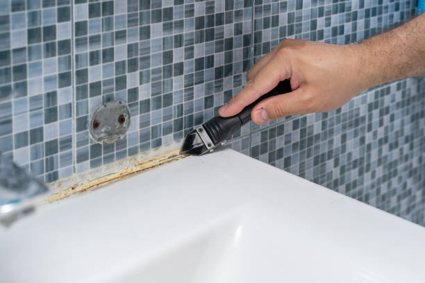Best Affordable Mold Removal  in West, TX