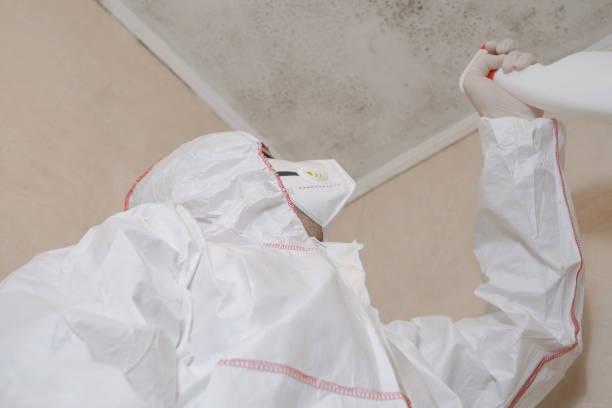  West, TX Mold Removal Pros