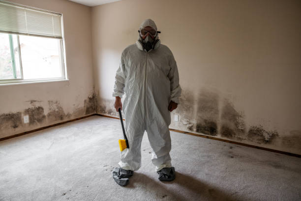 Best Local Mold Removal Service  in West, TX