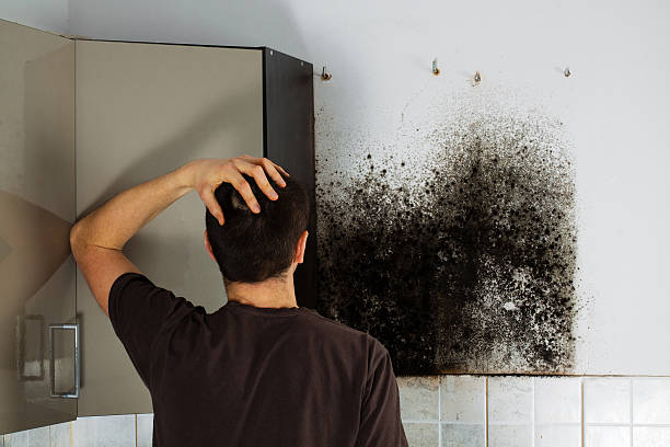 Best Mold Remediation Services  in West, TX